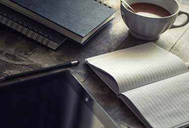 2025-26赛季德甲18队介绍：法兰克福